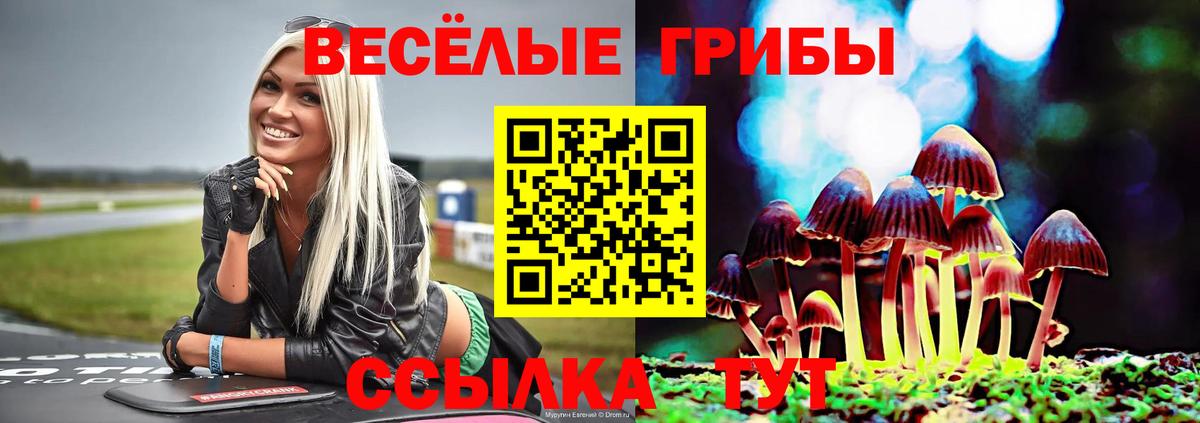 продажа наркотиков  Вход с VPN  Чусовой  Псилоцибиновые грибы мицелий 